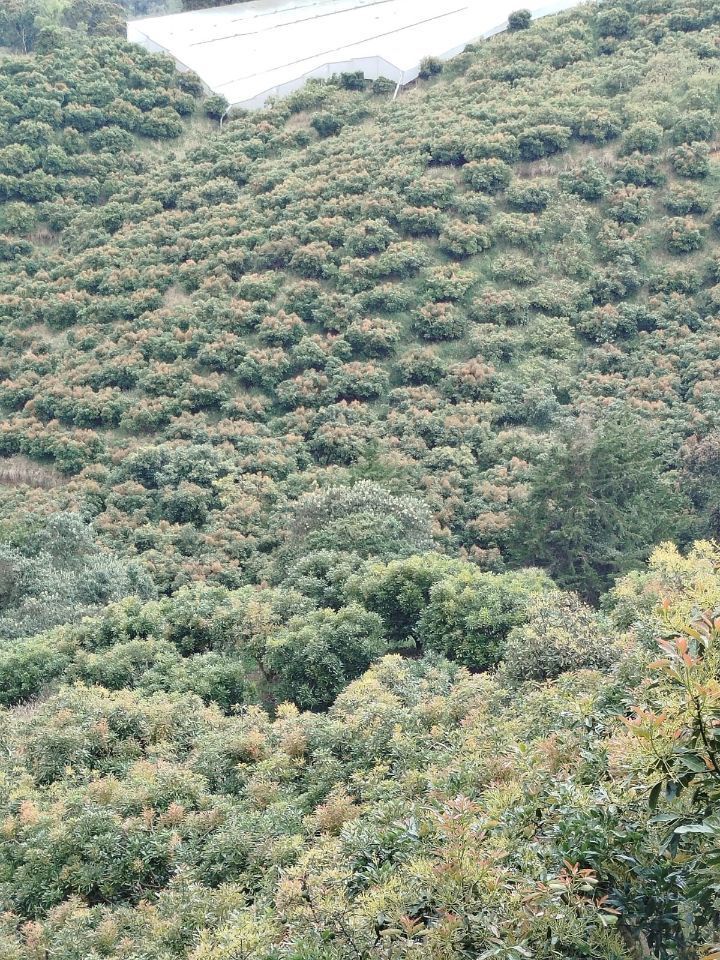 Finca en Colmenas