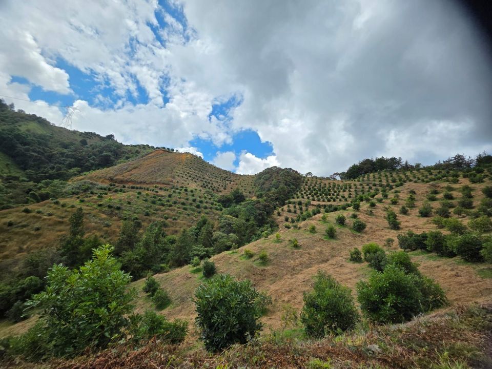 Finca en Piedras