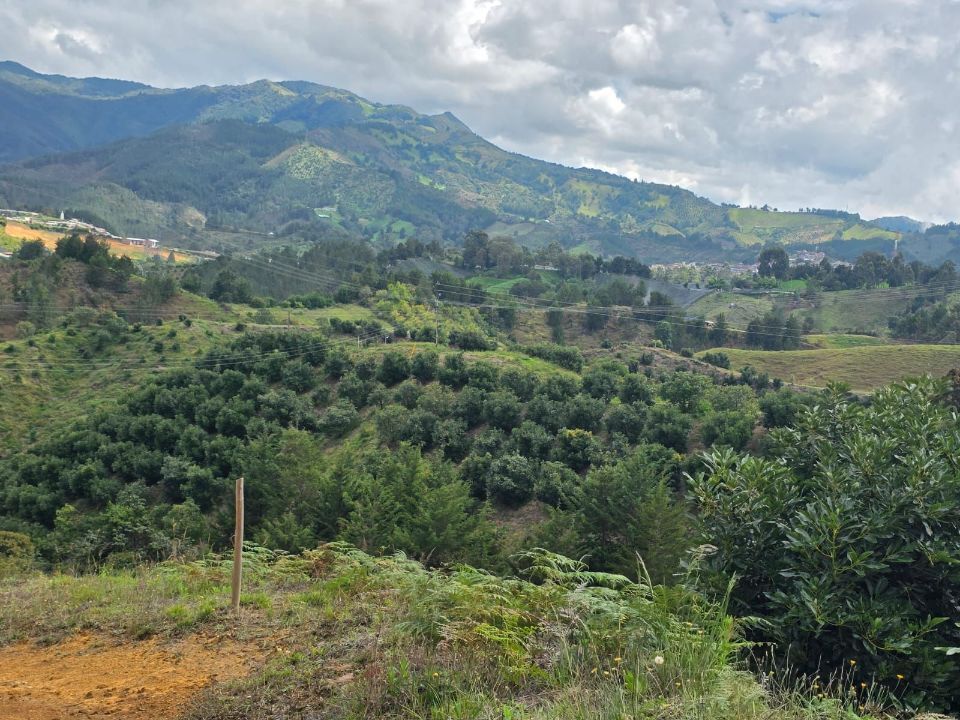 Finca en San Vicente Ferrer