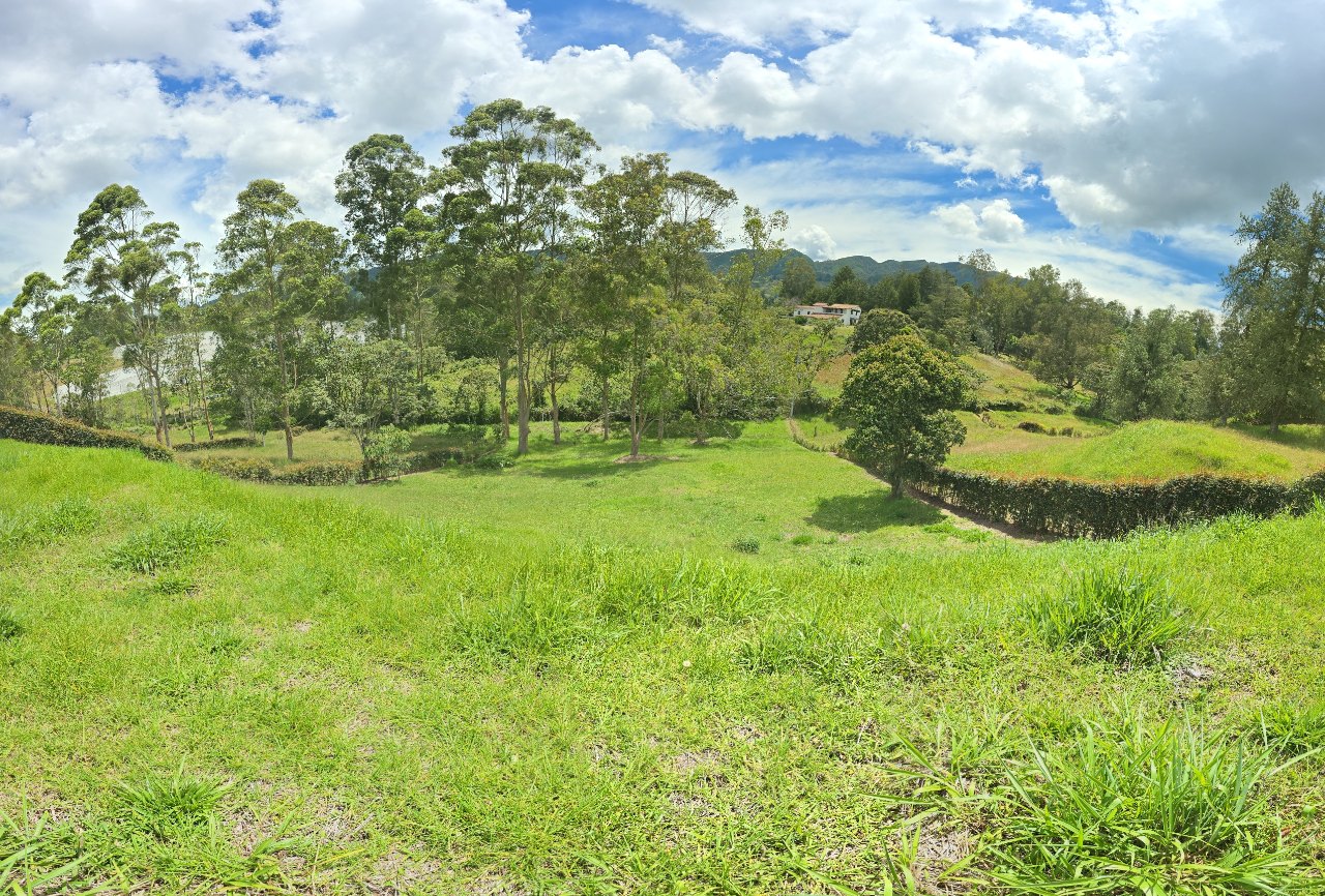 Lot and Natural Surroundings in garden