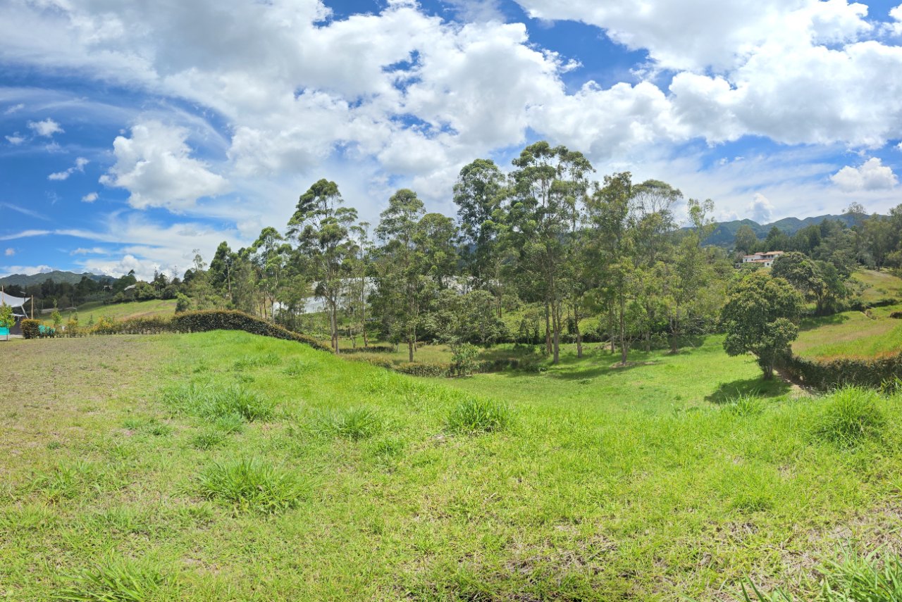 Lot and Natural Surroundings in garden