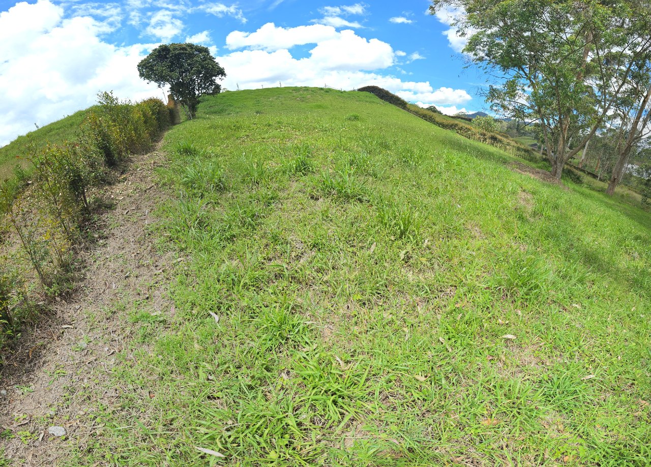 Lot and Natural Surroundings in garden