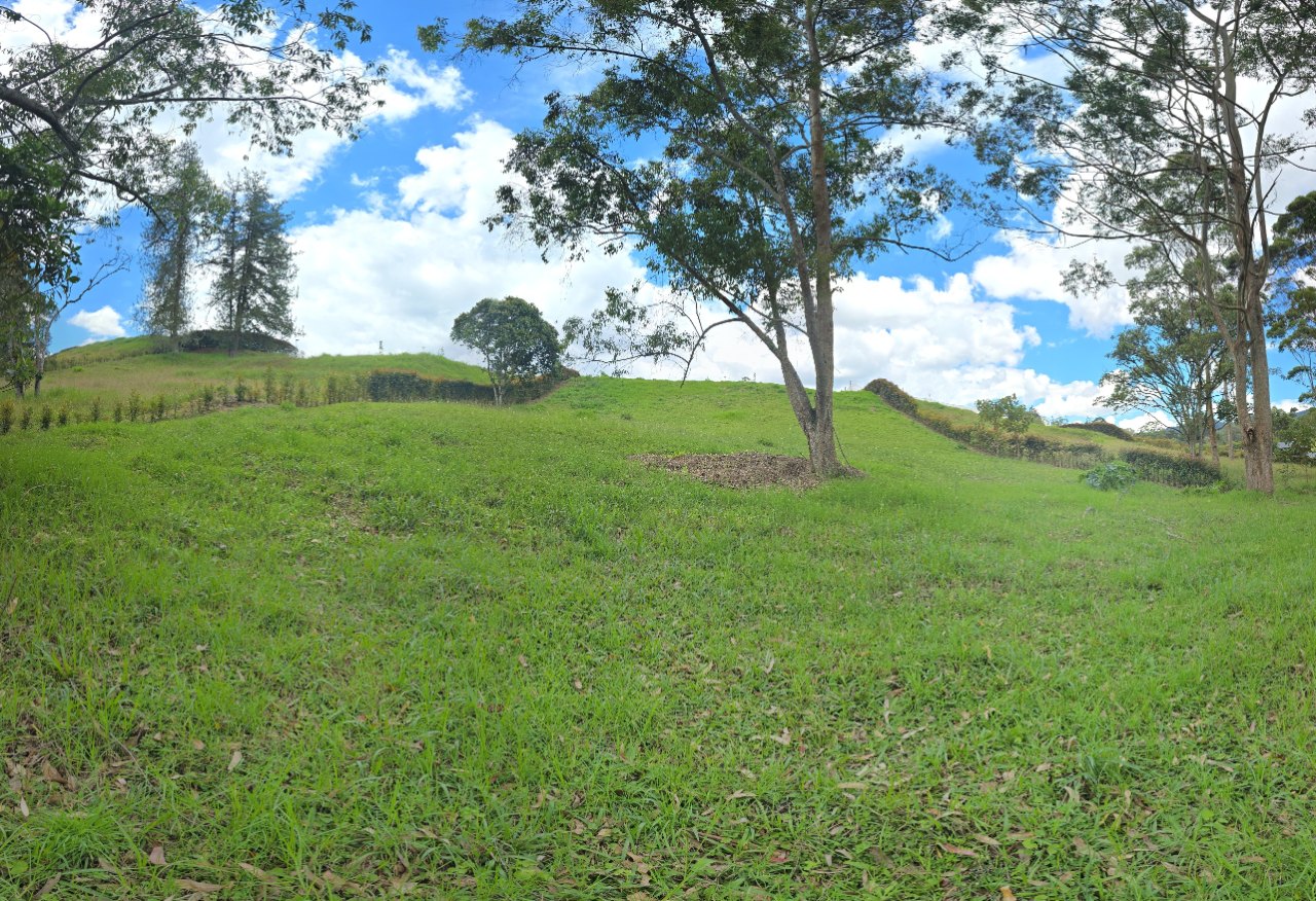 Lot and Natural Surroundings in garden