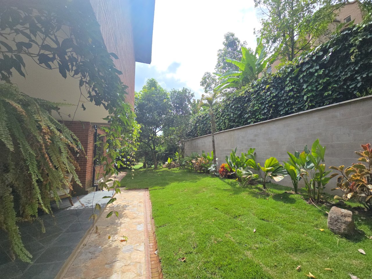 Garden and Outdoor Areas in garden