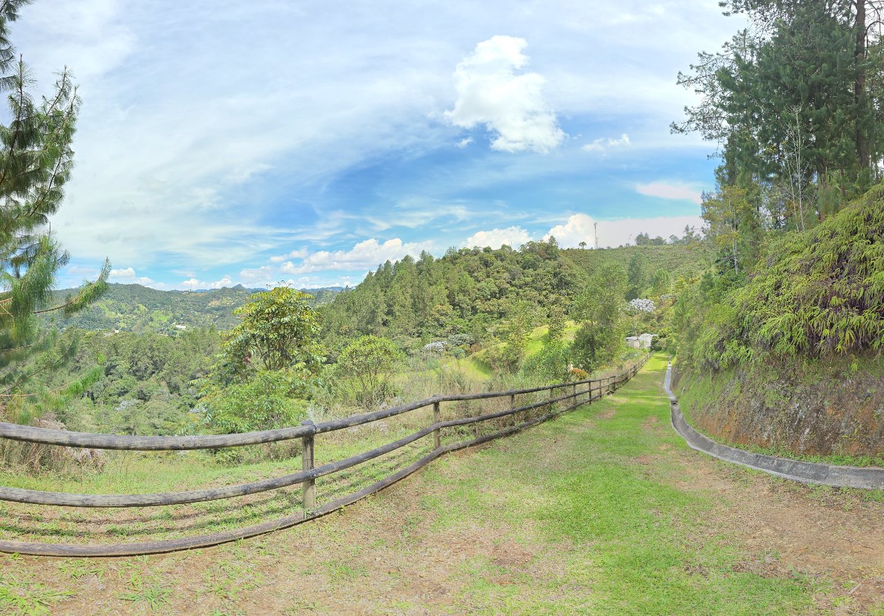 Lot and Natural Surroundings in garden