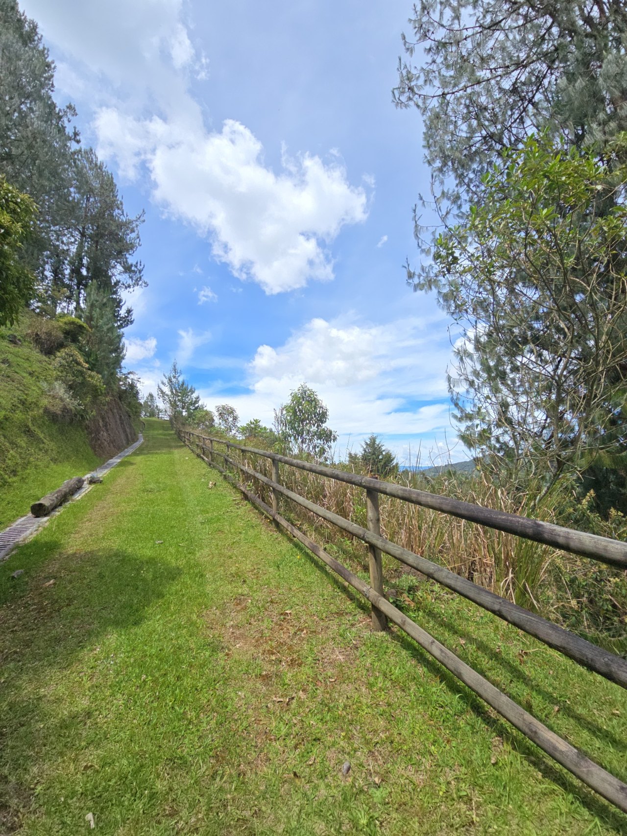 Lot and Natural Surroundings in garden