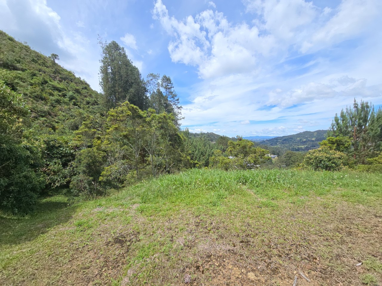 Lot and Natural Surroundings in garden